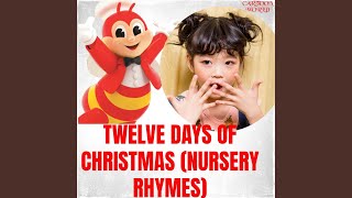 Twelve Days of Christmas Nursery Rhymes [upl. by Wixted702]