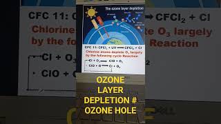 OZONE LAYER DEPLETION IN HINDIozonehole  CFC ozonelayerdepletion shortsfeed ytshorts Civil101 [upl. by Ida]