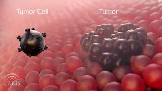 What Causes Cancer  Central Principles of Molecular Biology [upl. by Caroline]