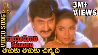 Taluku Thaluku Chinnadi Video Song  Naidugari kutumbam Telugu Movie  Suman  Swarna [upl. by Alger]