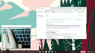 Toetsenbord functies in Chromebook [upl. by Lenora67]