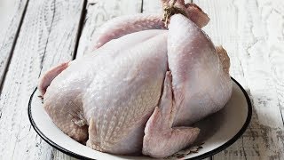 How To Quickly Defrost a Turkey [upl. by Tilford961]