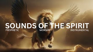 1 HOUR PROPHETIC WORSHIP INSTRUMENTAL  SOUNDS OF THE SPIRIT  PRAYER AND MEDITATION MUSIC [upl. by Verity853]