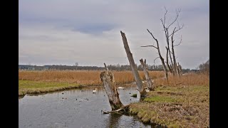 Oberschwaben Rund um den Federsee [upl. by Lareneg924]