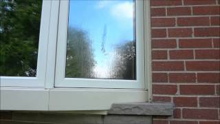 How To Remove Bird Poop From A Window [upl. by Dorthy]