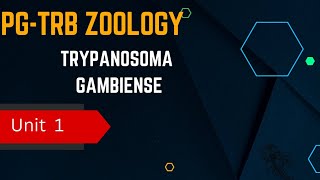 PG TRB ZOOLOGY UNIT  1 TRYPANOSOMA GAMBIENSE [upl. by Guntar]