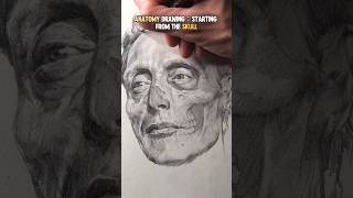 ANATOMY DRAWING STARTING FROM THE SKULLanatomy art portraitdrawing [upl. by Anderer]