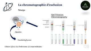 La chromatographie dexclusion [upl. by Mozelle611]