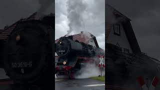 BR 50 schleudert ordentlich an einem Berg mit einem Holzzug train dampflok sound railway fyp [upl. by Odraode]