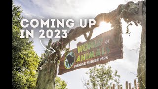 2023 Our Most Exciting Year Yet  Paradise Wildlife Park [upl. by Steinman577]