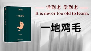 好书解读：《一地鸡毛》 茅盾文学奖获得者刘震云作品【书海拾慧】 [upl. by Dedrick]