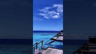 Maldives Would you like stay here hotel maldives island shorts [upl. by Niletac]