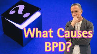 Between Confusion and Clarity Borderline Personality Disorder BPD Determinants [upl. by Mit]