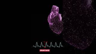 What is Photoplethysmography and how is it used to measure your heartrate science wearabletech [upl. by Nace]