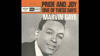 Pride And Joy – Marvin Gaye [upl. by Eramat972]