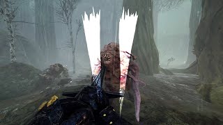 Cataclysm Solo Twitch  Foot KnightBretonnian LSRepeater Handgun｜Warhammer Vermintide 2 [upl. by Fleck]