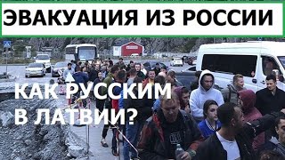 Kamikadzedead Эвакуация из россии  русские в Латвии [upl. by Bogosian]