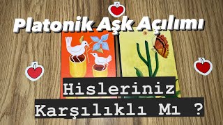 Platonik Aşk  ❤️✨ Sen De Onun Aklında Mısın ❓ desteseç tarot platonikaşk katinadestesi [upl. by Enoj]