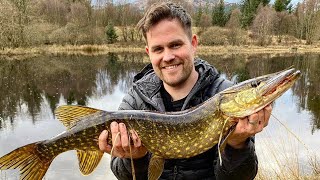 An unexpected CATCH  Wild camping amp Fishing Scotland [upl. by Kincaid]