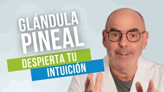 Descalcificando la GLÁNDULA PINEAL para mejorar la SALUD [upl. by Seabrook]