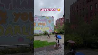 Thank You Darling 😘 NYC’s Iconic Highline Surprise ❤️ that’s for YOU viralvideo shortvideo nyc [upl. by Adnima39]