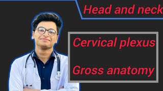 Cervical plexus Anatomy [upl. by Camel]