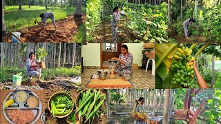 அவகேடோ🥑 இரம்புட்டான் 🌽சோள சந்தவைனு ஒரு புது விதமான அனுபவம்Vegetable harvsetingplanting new trees [upl. by Assirram599]