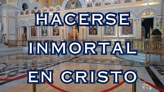 Hacerse inmortal en Cristo [upl. by Urion]