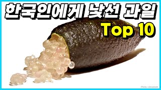 대부분의 한국인들이 접하기 힘든 생소한 과일 Top 10 [upl. by Refenej964]