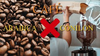 Qual a Diferença entre Café Conilon e Café Arábica ☕ [upl. by Drofyar]