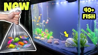 New 3 Feet Fish Tank Setup amp Adding Fish  Aquarium Decoration [upl. by Itsrik57]