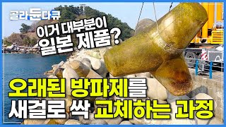 알고 계셨나요 우리가 아는 흔한 방파제 돌이 대부분 일본 제품이라는 사실│국산 테트라포드 교체 작업 현장│생산부터 설치까지 안전 테트라포드의 모든 과정│극한직업│골라듄다큐 [upl. by Inavihs747]