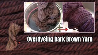 Dyepot Weekly 526  Overdyeing Dark Brown Commerical Yarn  Kettle Dyeing to Change the Color [upl. by Funda]