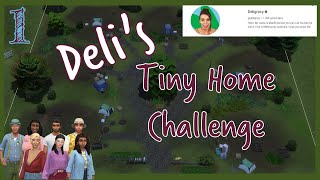 The Sims 4  Deligracys Tiny Lot Challenge  Ep 1  Getting Tiny [upl. by Gnous]