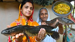 পুকুর থেকে জ্যান্ত পাকা শোল মাছ ধরে মাটির হাড়িতে ভাপা রান্না  Shol fishing amp cooking in clay pot [upl. by Carl]