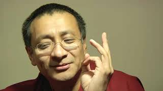 INTERVIEW OF DZOGCHEN PONLOP RINPOCHE [upl. by Adlen]