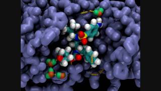 Amprenavir In a HIV Protease Active Site [upl. by Einnal]