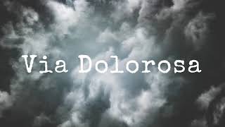 VIA DOLOROSA  INSTRUMENTAL [upl. by Torbert]