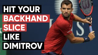 How To Hit Your Backhand Slice Like Dimitrov  Tennis Lesson [upl. by Retsek580]