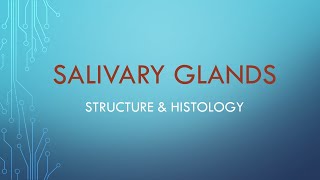 Salivary glands Structure amp Histology [upl. by Selhorst]