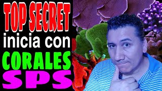 TOP SECRET INICIA CON CORALES SPS [upl. by Nelaf]