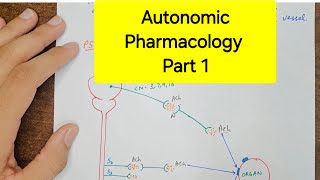 Autonomic Pharmacology  1  ANS amp EPSP  Core Medical Science [upl. by Ty752]