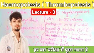 haemopoiesis notes  thrombopoiesis in hindi  thrombopoiesis notes thrombocytes [upl. by Euqinommod]