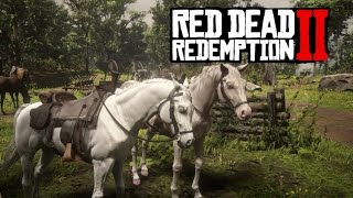 How to get the Rare White Arabian Horse  Red Dead Redemption 2 [upl. by Jacquelyn]