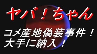 【ヤバ！】米産地偽装事件！中国産を国産！イオン・フジパンに納入！ [upl. by Eirrehc553]