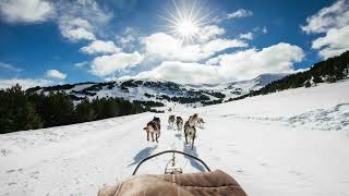 Excursión en un trineo de perros Mushing 🛷​🐕​  Vehiculos deportes Efecto de sonido [upl. by Iohk968]