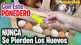 Los Mejores CRIADORES DE GALLINAS TIENEN ESTE NIDO  nidales para gallinas que protegen los huevos [upl. by Ahon]