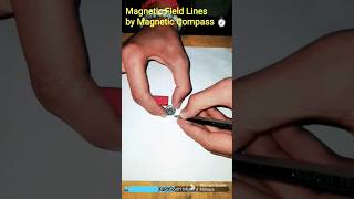 Magnetic Field lines with Magnetic Compass 🧭 [upl. by Atikehs]