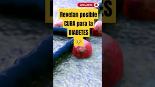 ¡Descubren la Cura para la Diabetes ¡Esto Cambiará Todo [upl. by Ecital6]