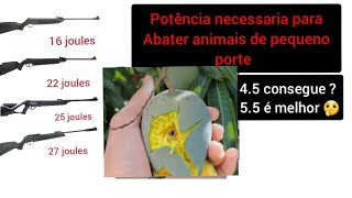 carabinas que nao derrubam uma manga  potencia e calibre necessarios [upl. by Kenti]